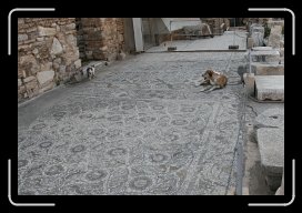 08-23-10 141 * 1728 x 1152 * (733KB)